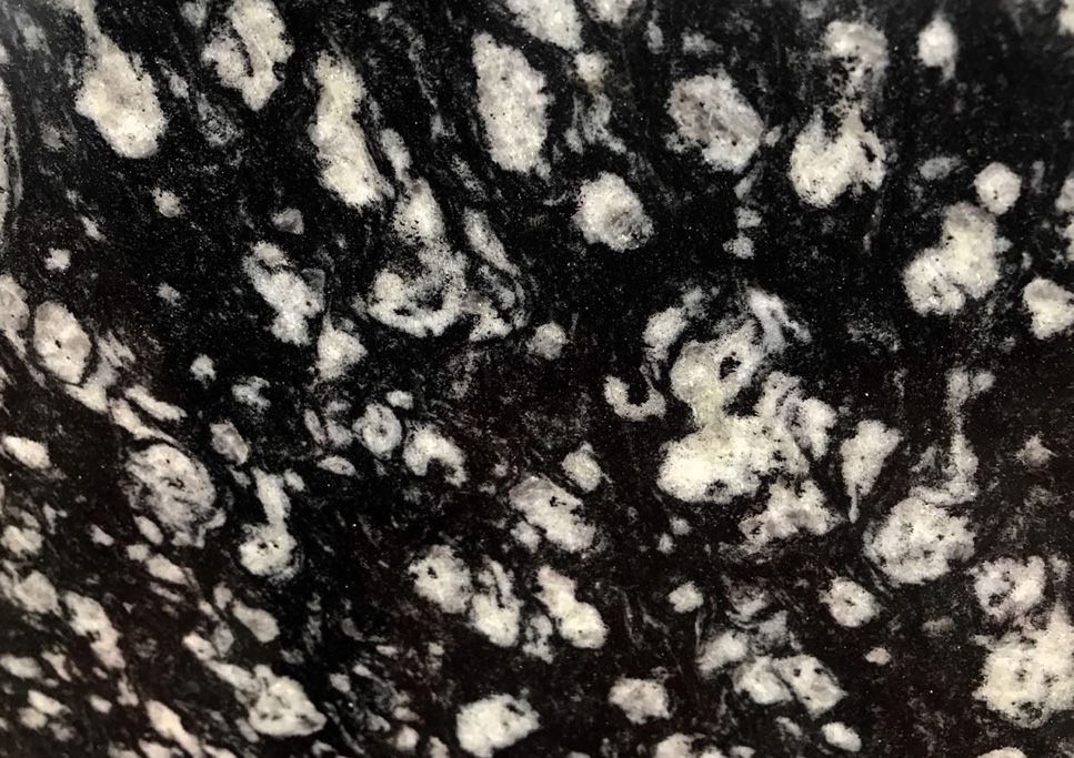 Coin Black