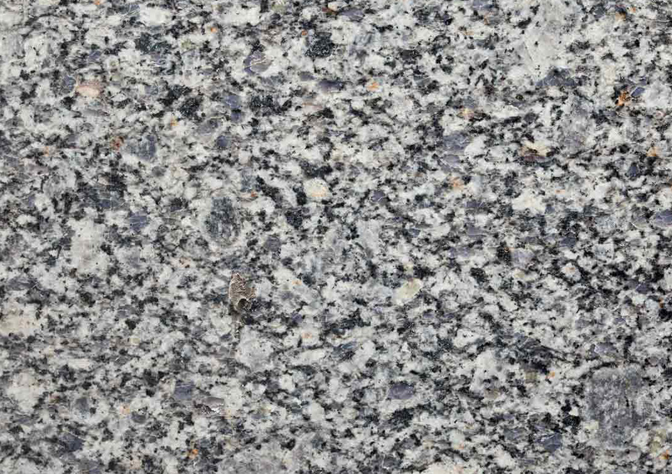 Koliwada Black