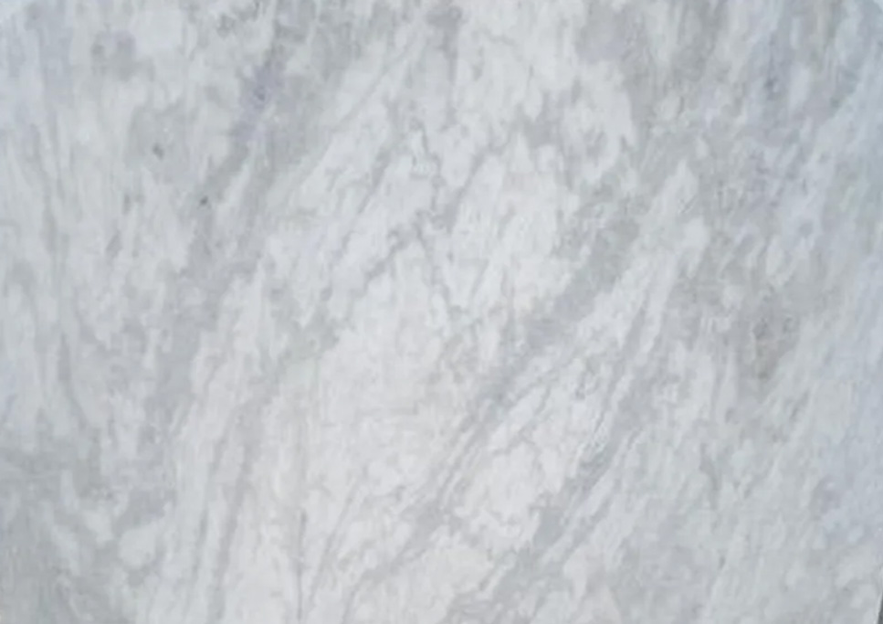 Dharmeta White