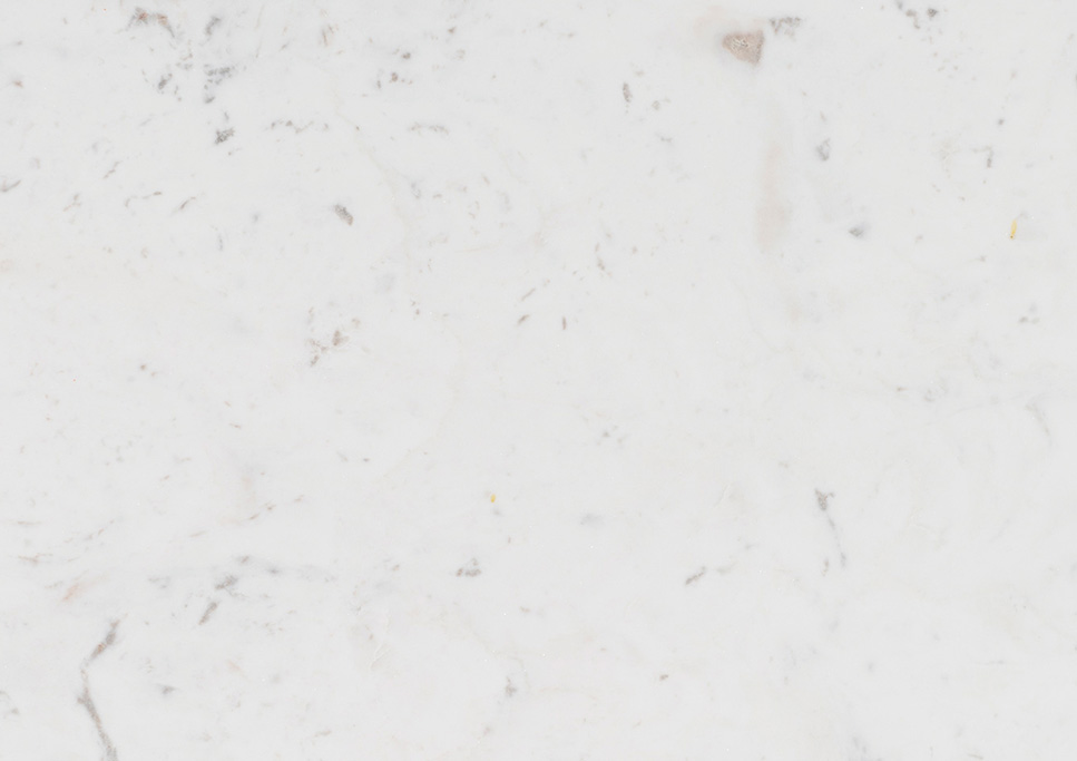 Wonder White